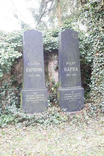 z1a0317-kopie-2.jpg
