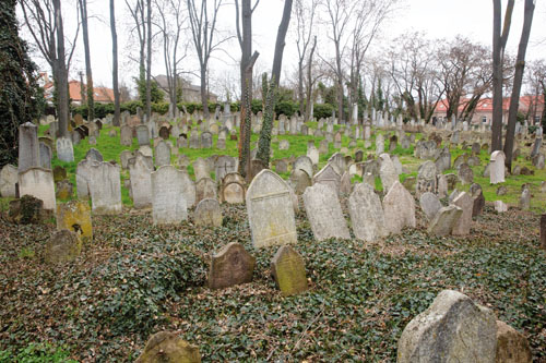 z1a0299-kopie.jpg