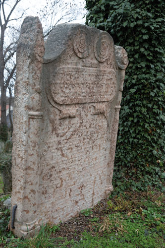 z1a0298-kopie.jpg