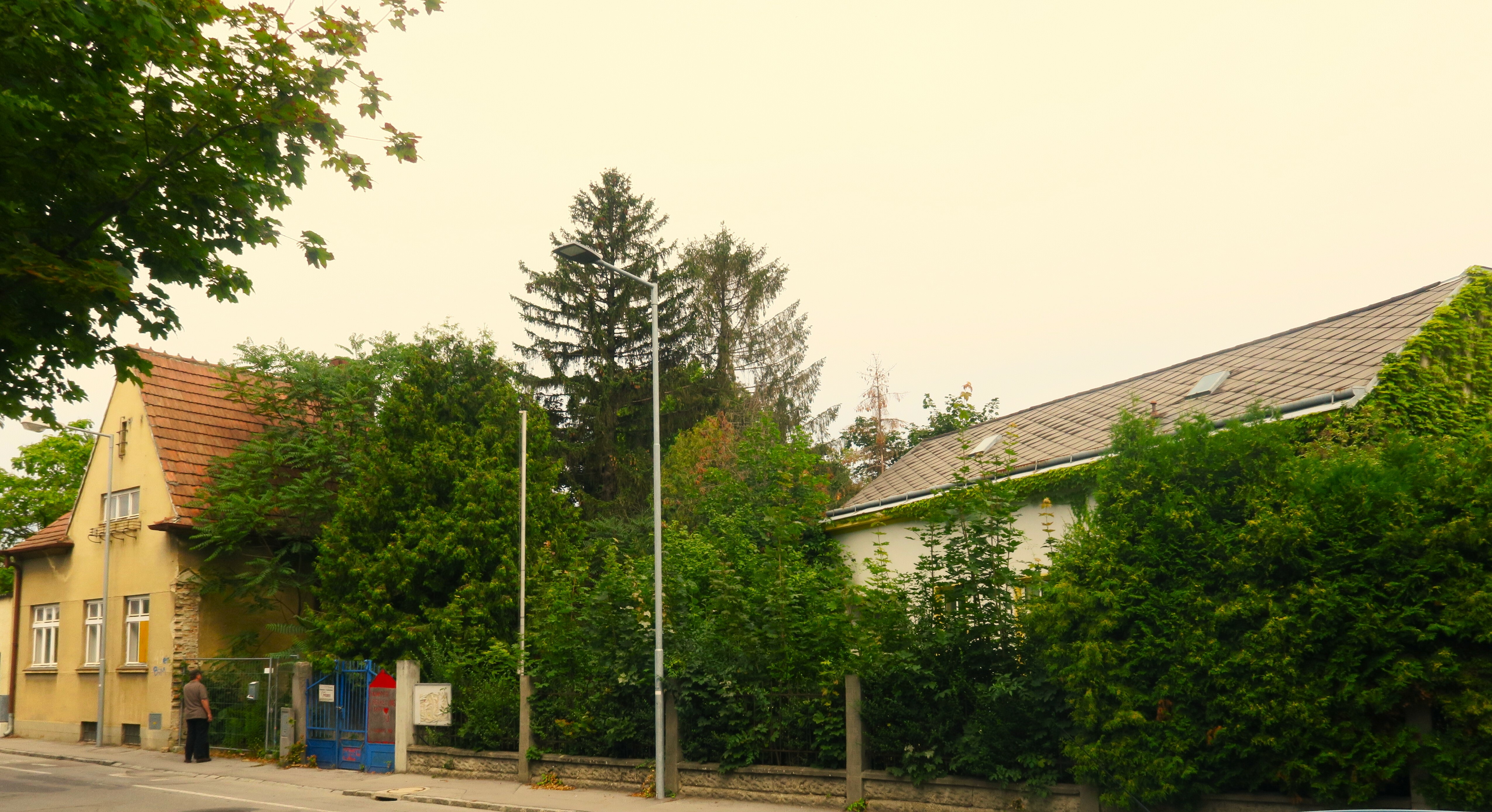 ganserndorf-rabbinerhaus-juli-2018-foto-markus-landerer.jpg